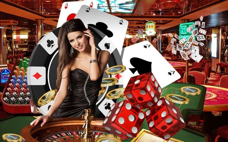 55zz bet