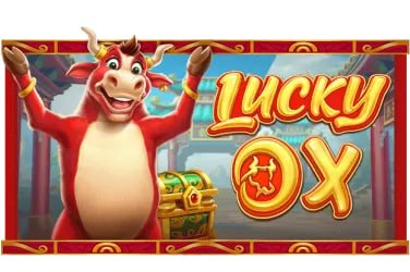 55zz bet