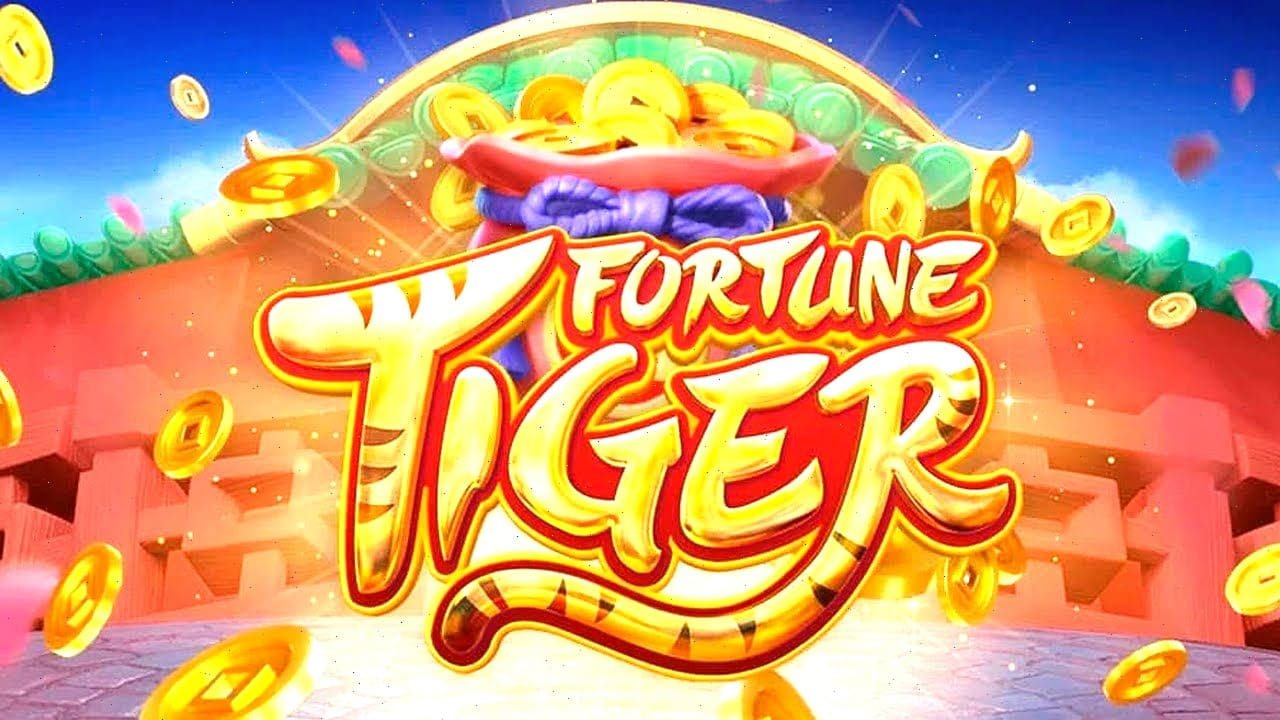 55zz bet